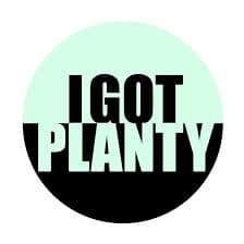 IGOTPLANTY NZ LIMITED