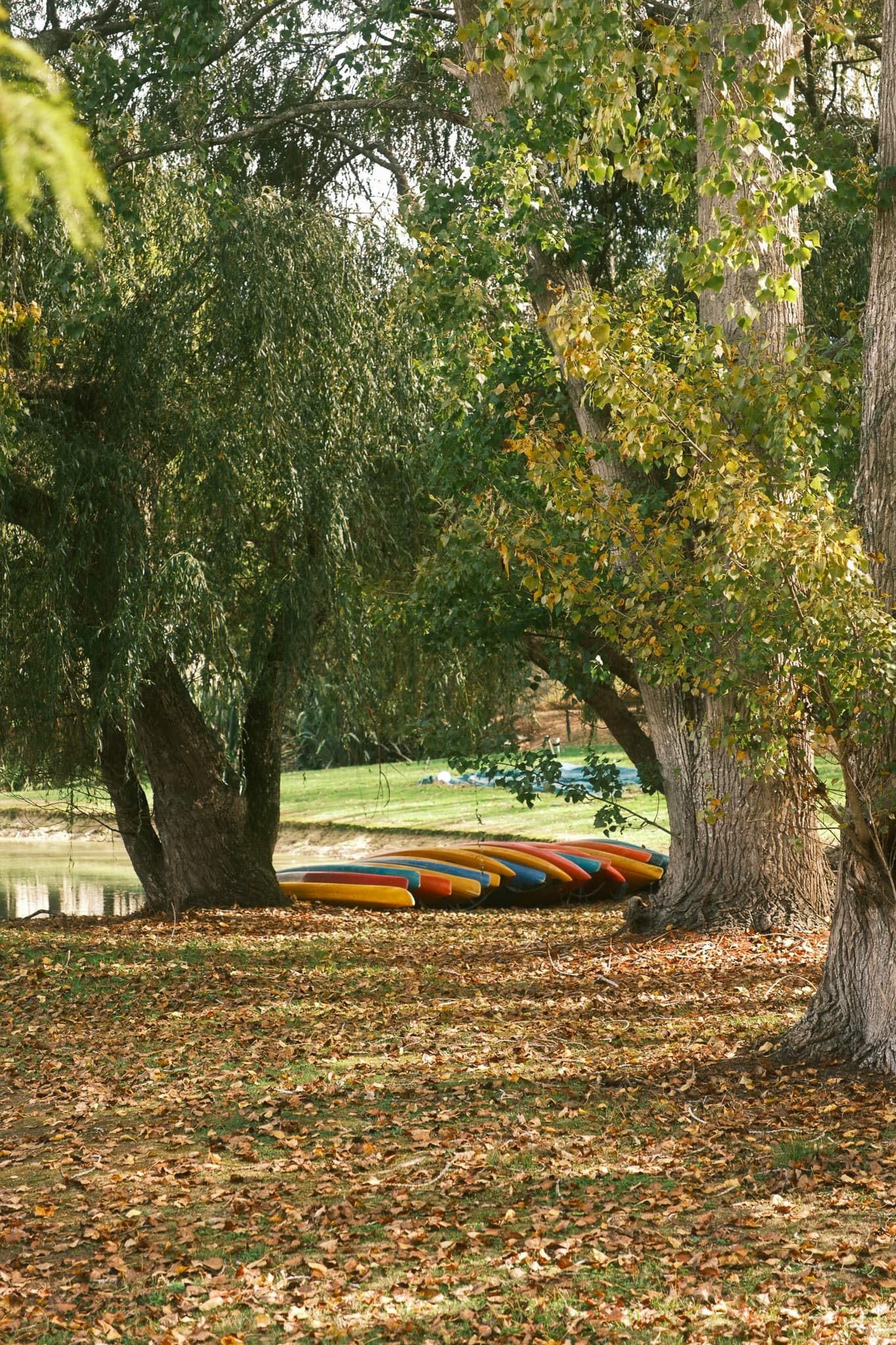 TANSA Camp 2025 photo 319