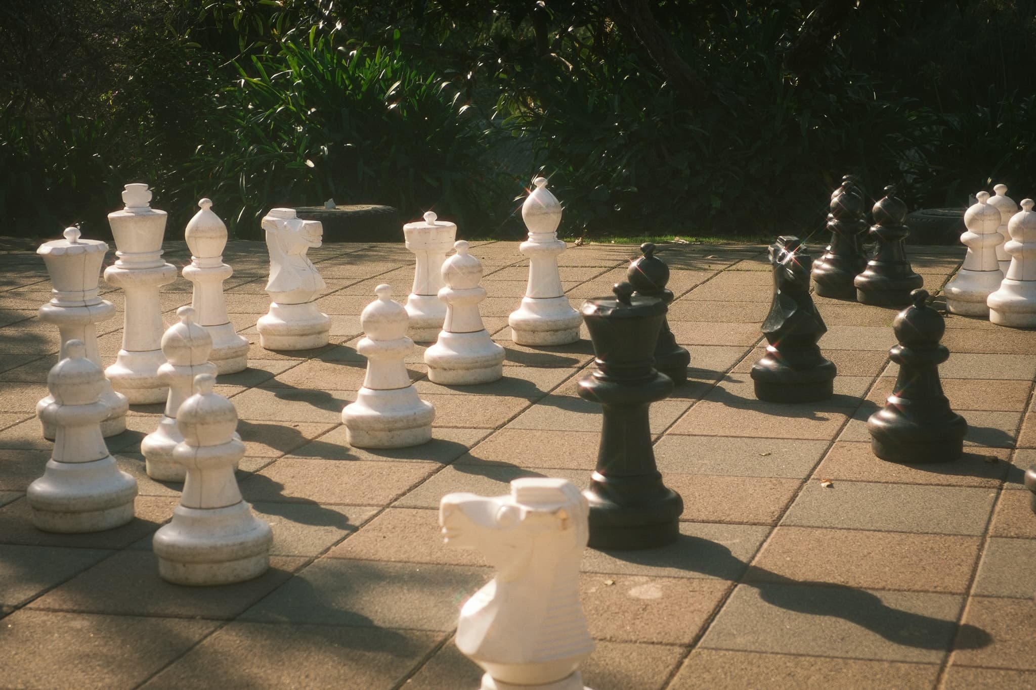 TANSA Camp 2025 photo 45