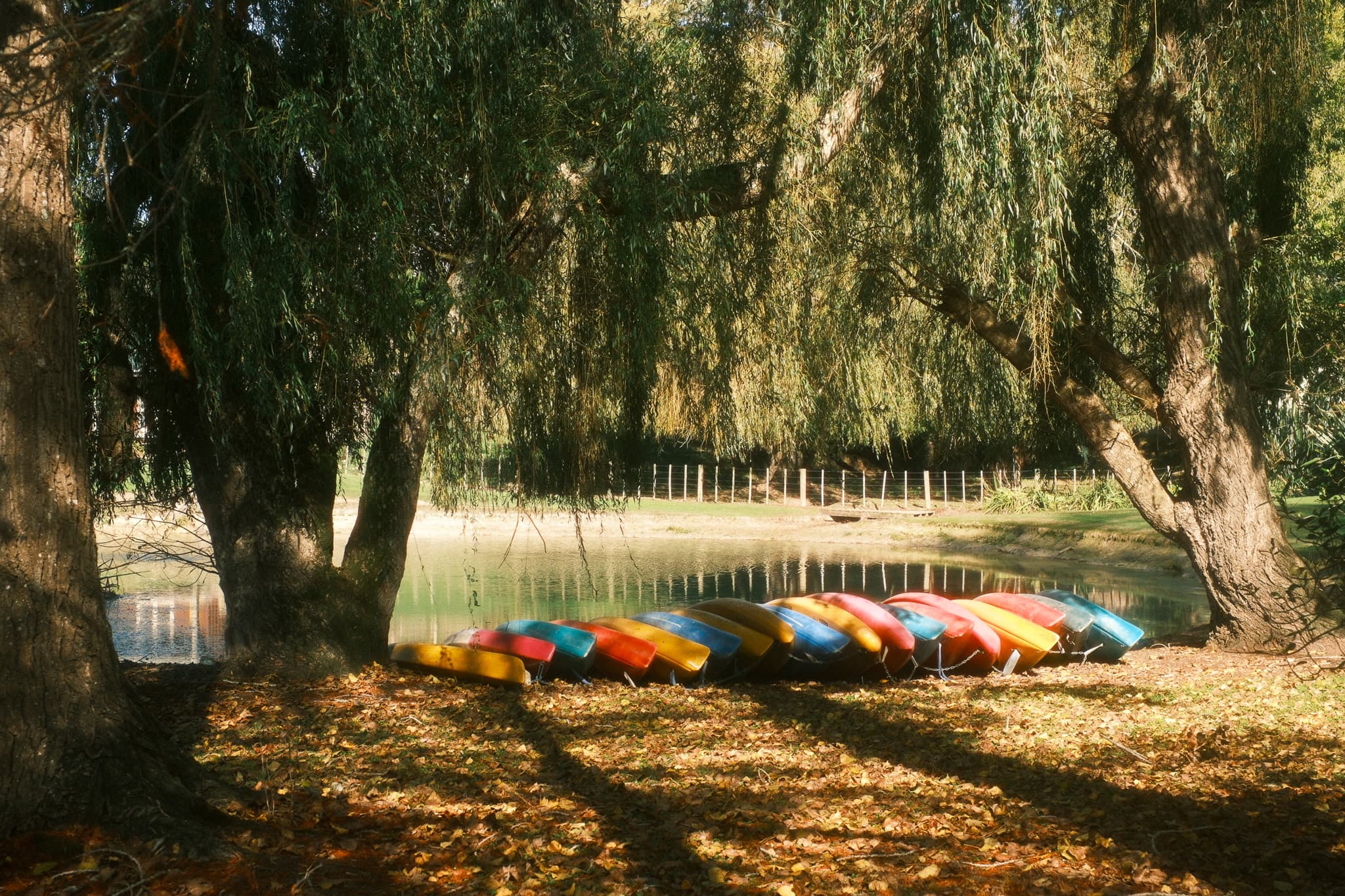 TANSA Camp 2025 photo 163