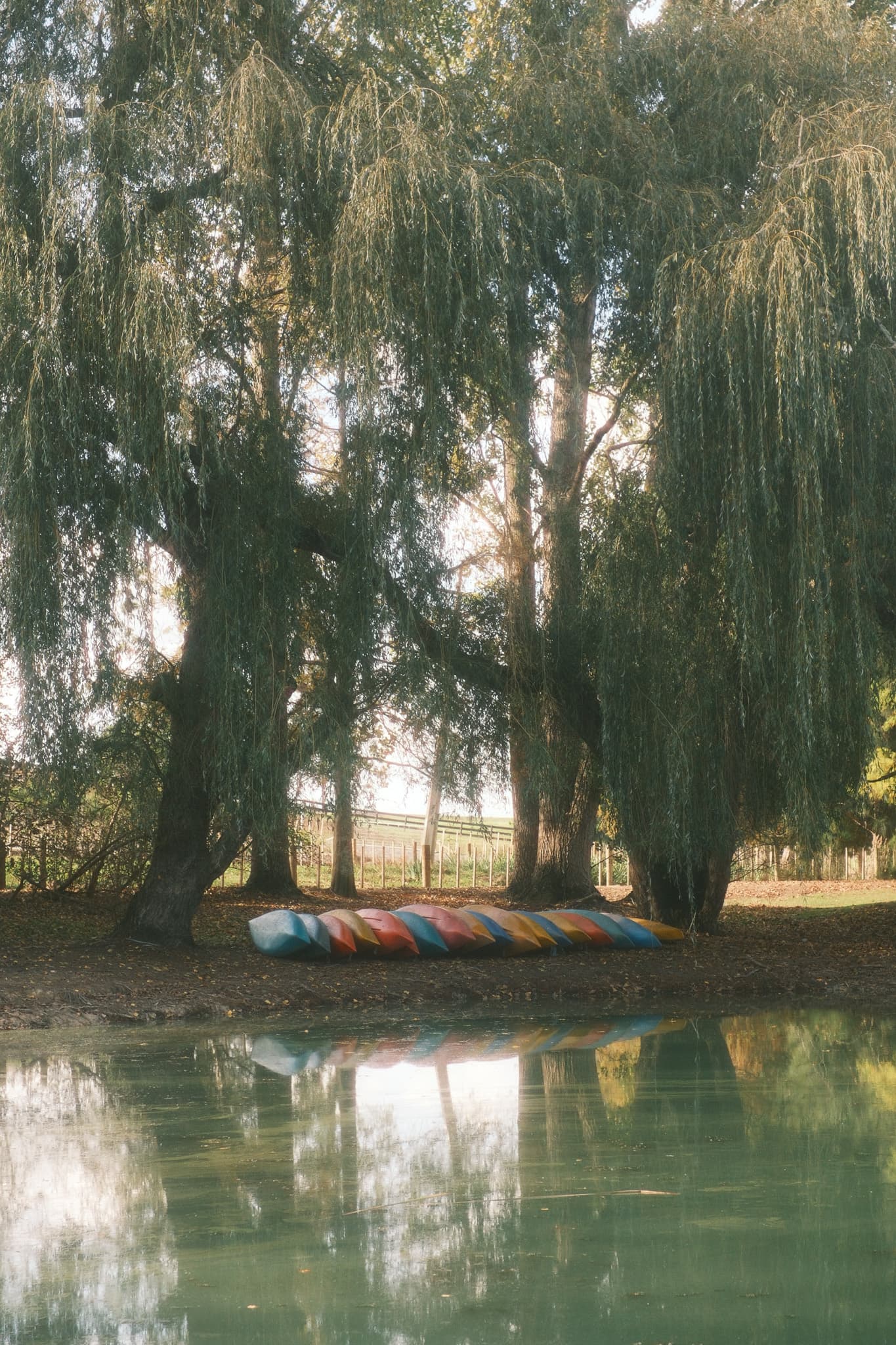 TANSA Camp 2025 photo 188