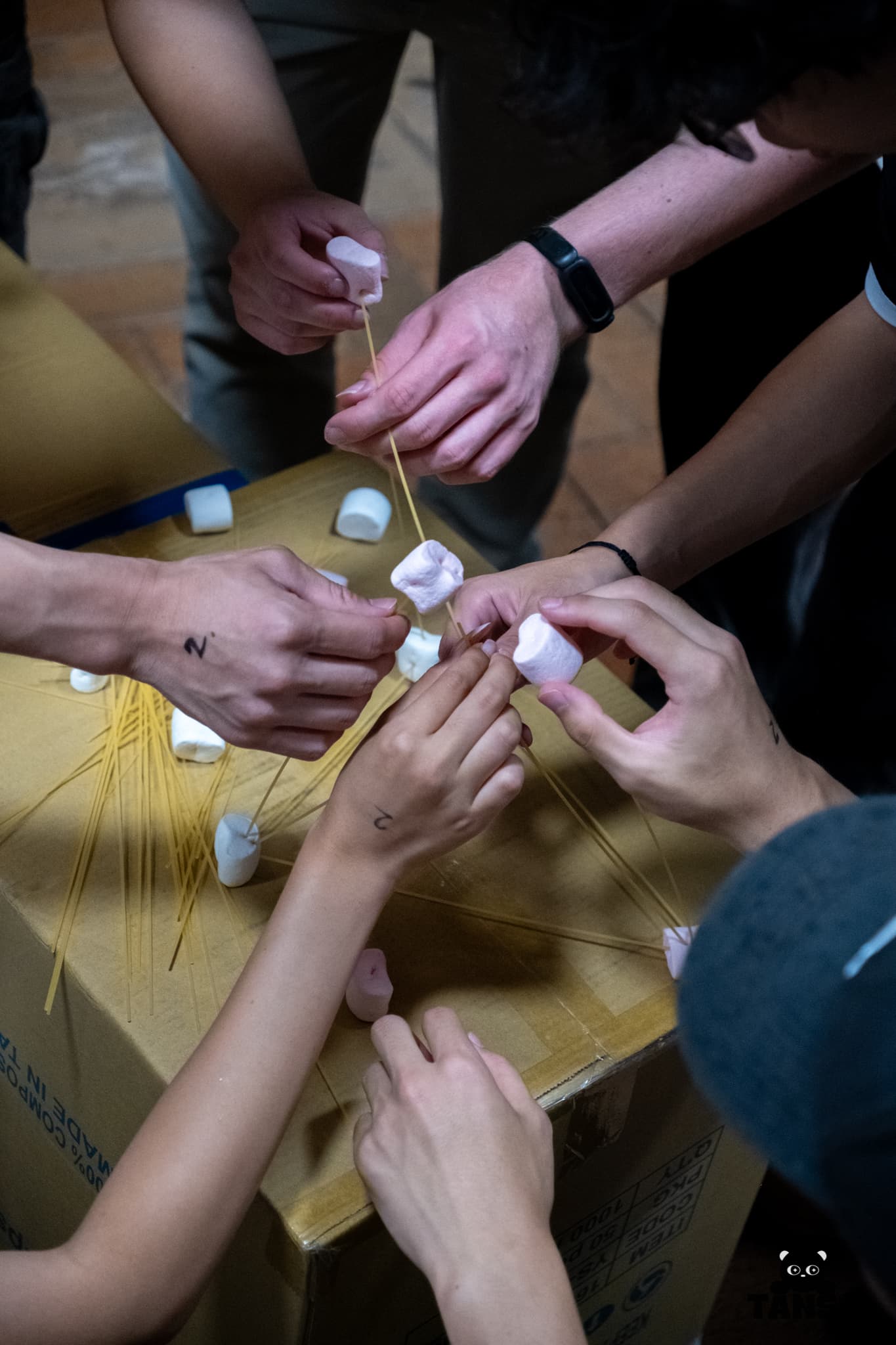 Freshers 2026 photo 62