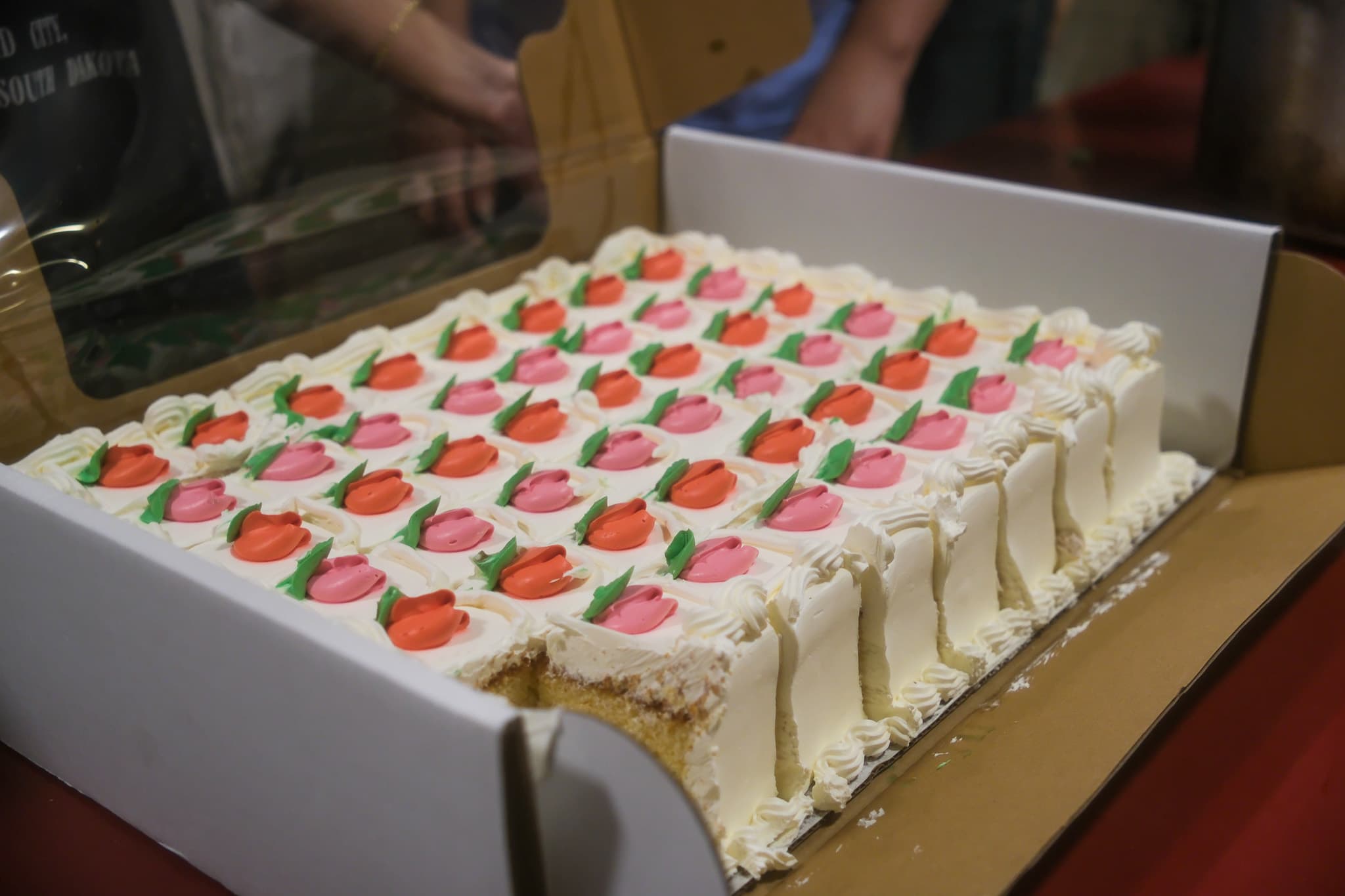 TANSA Camp 2025 photo 266