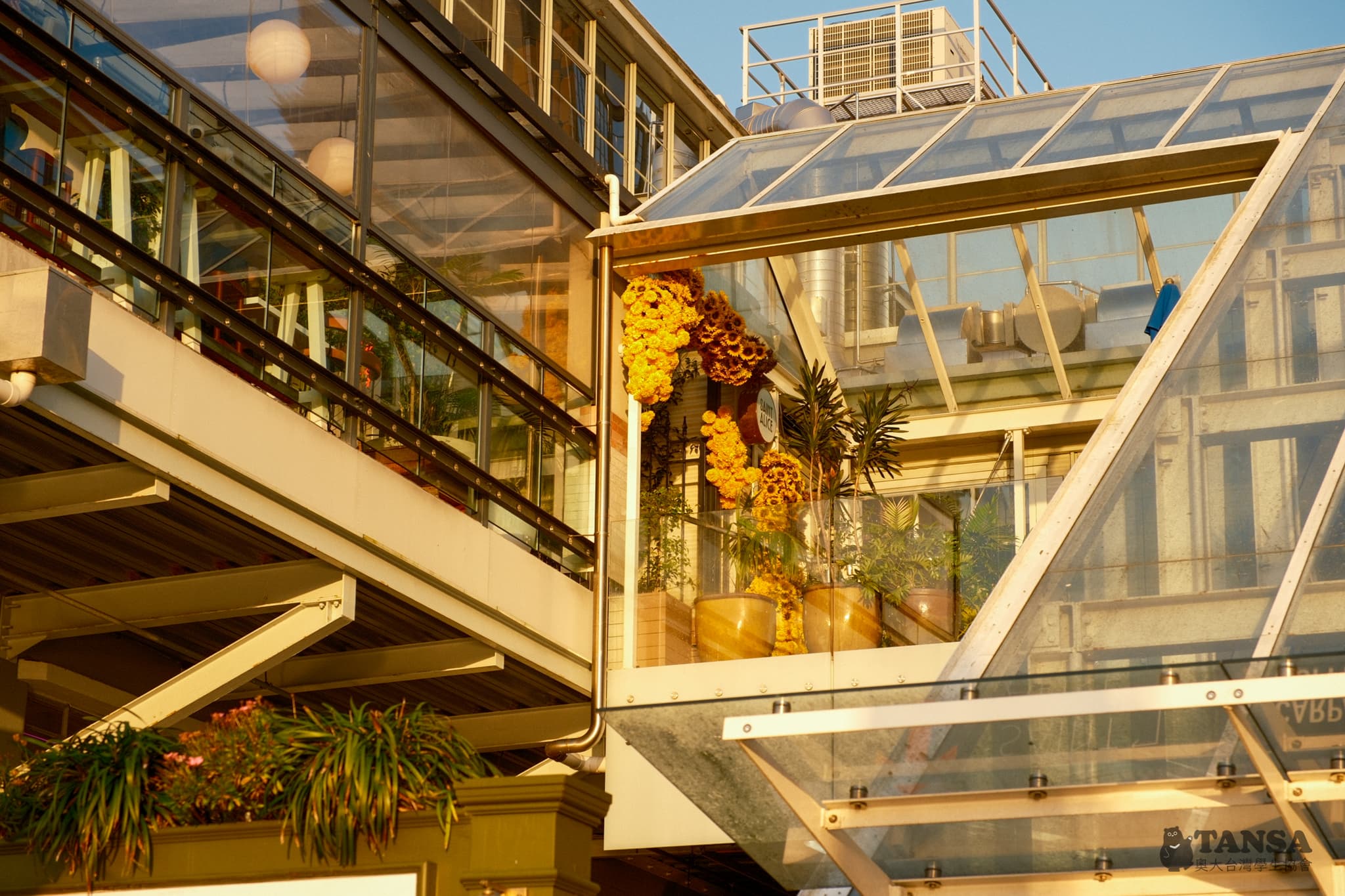 Bear Hunting 2025 photo 51