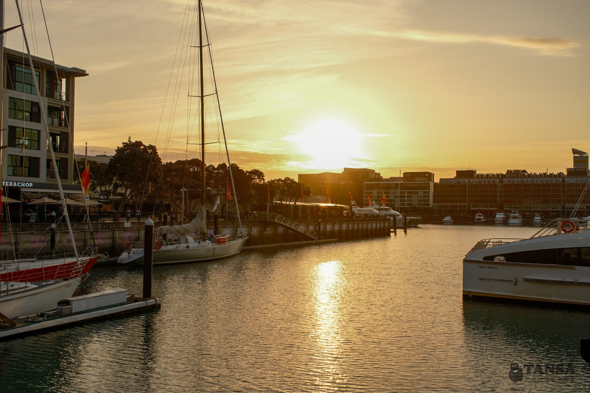 Bear Hunting 2025 photo 54