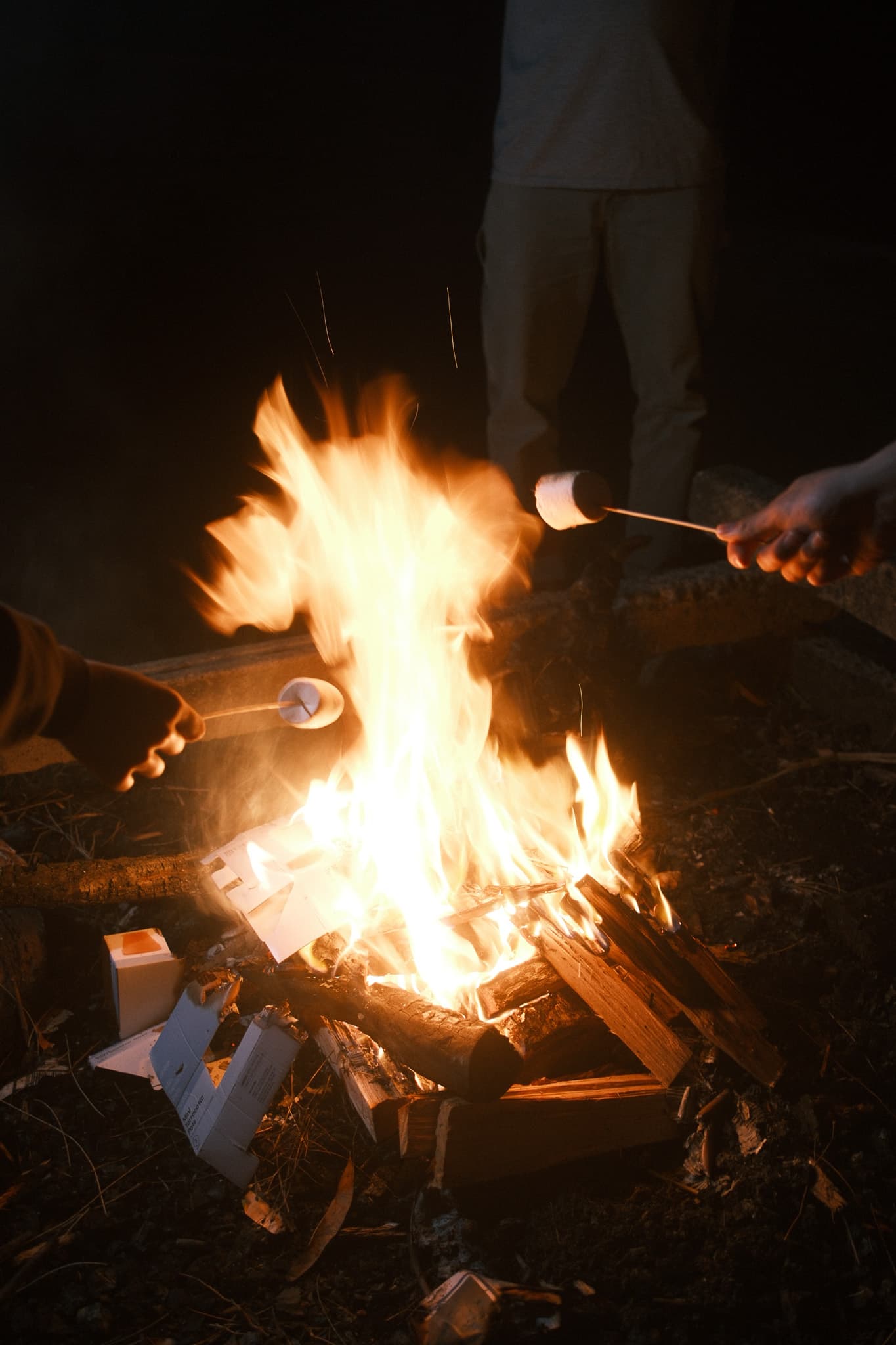 TANSA Camp 2025 photo 268