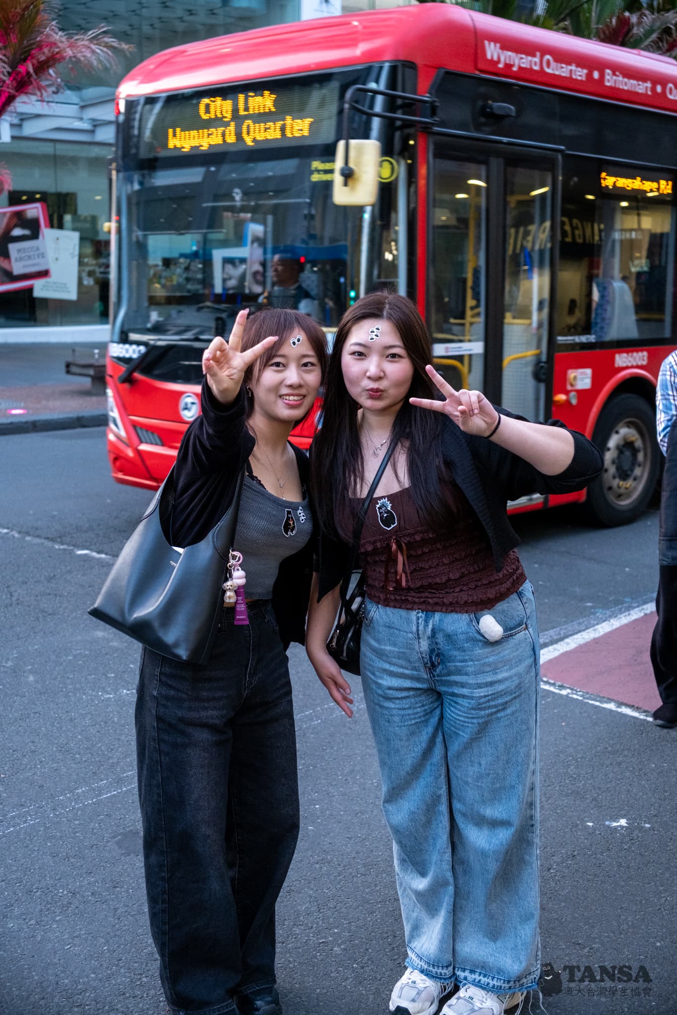 Bear Hunting 2025 photo 59