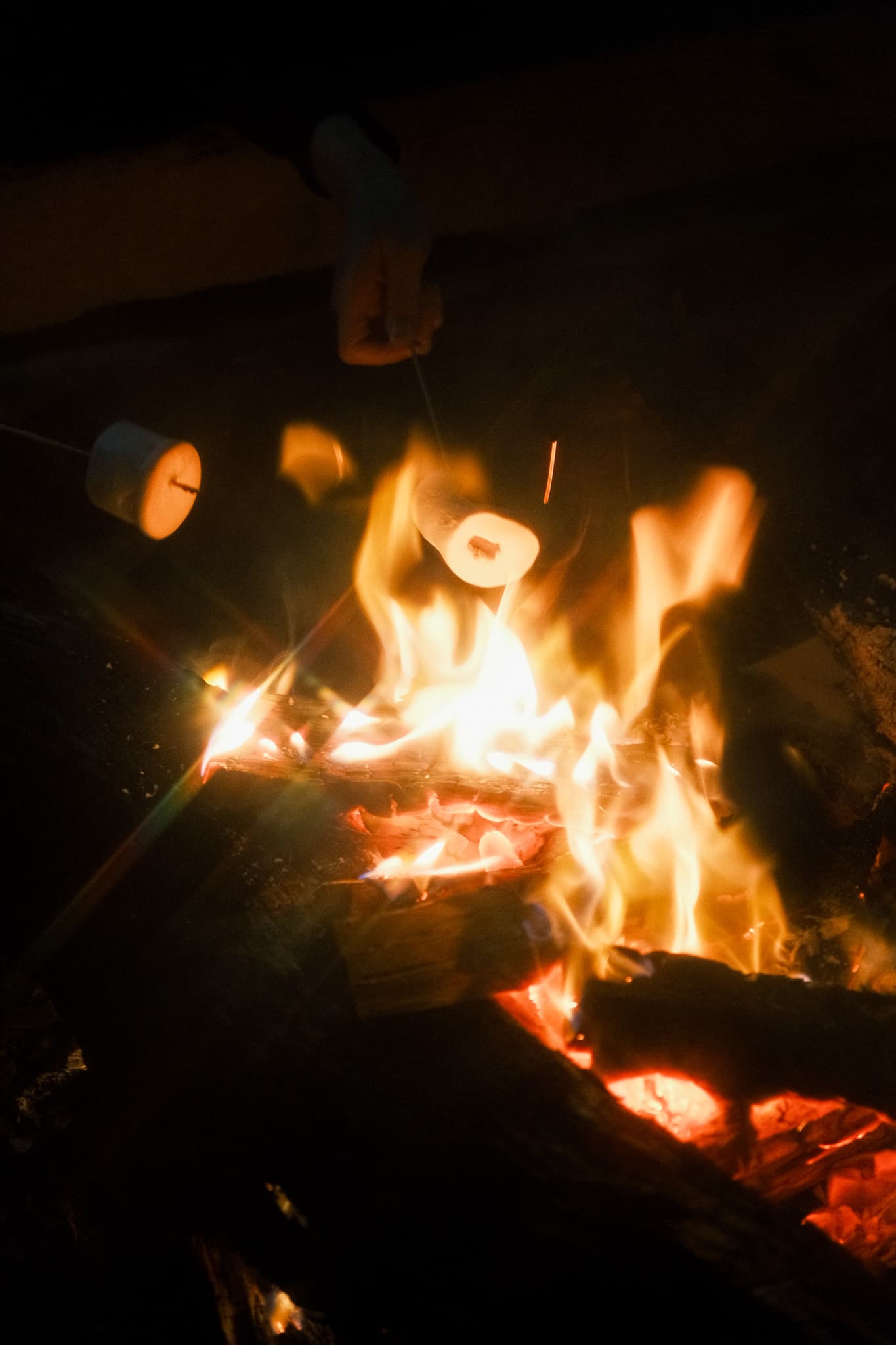 TANSA Camp 2025 photo 278