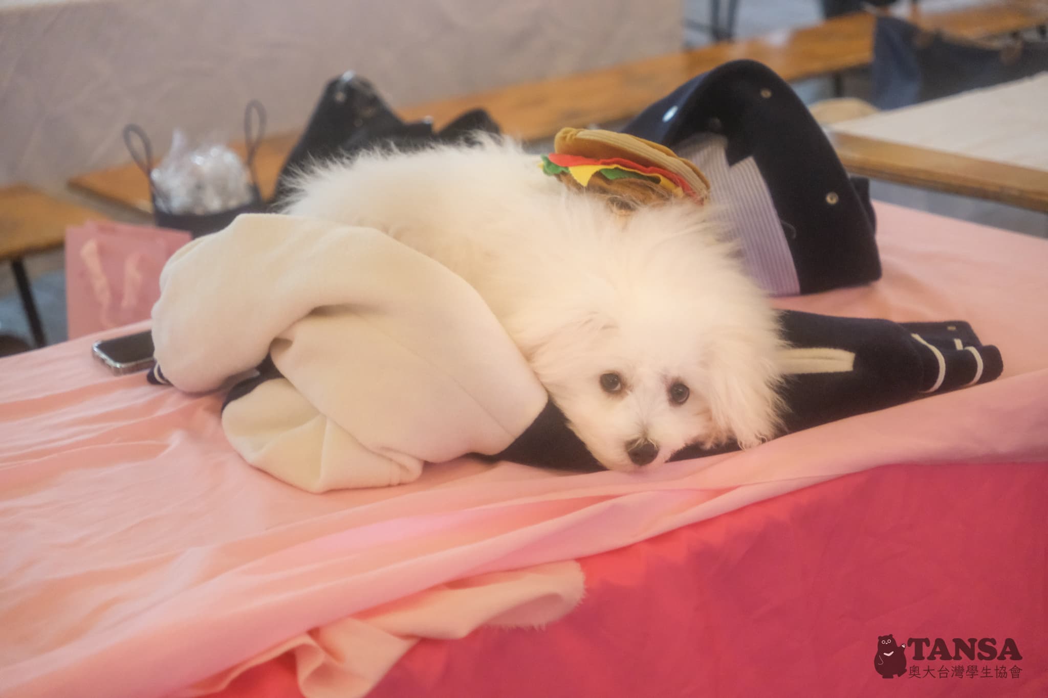 Taiwanese Night Market  photo 35