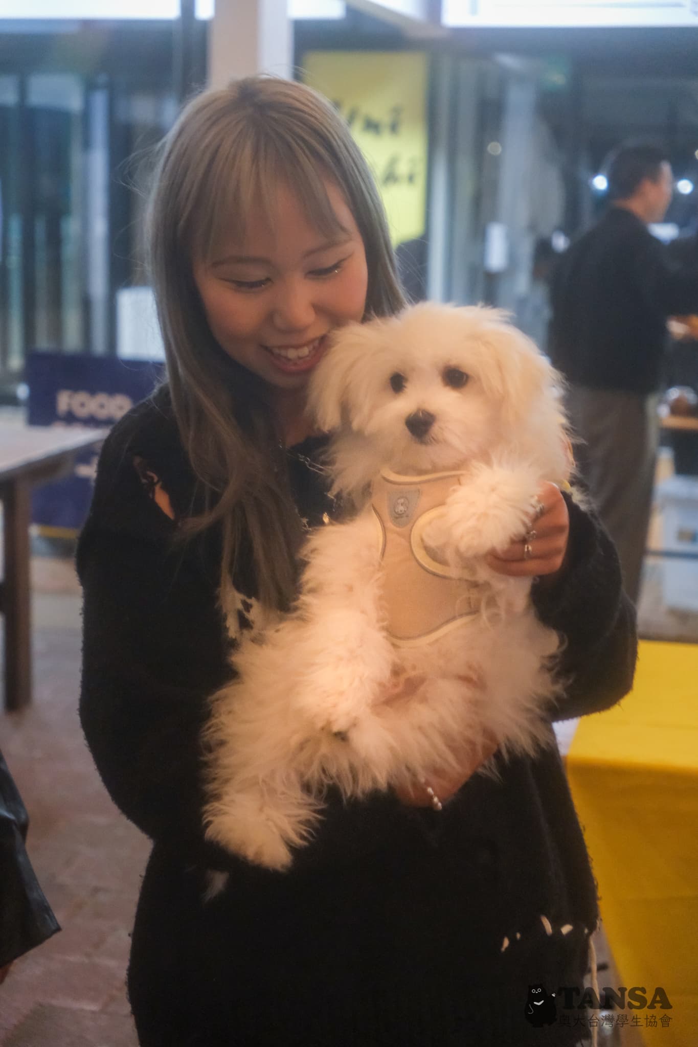 Taiwanese Night Market  photo 7