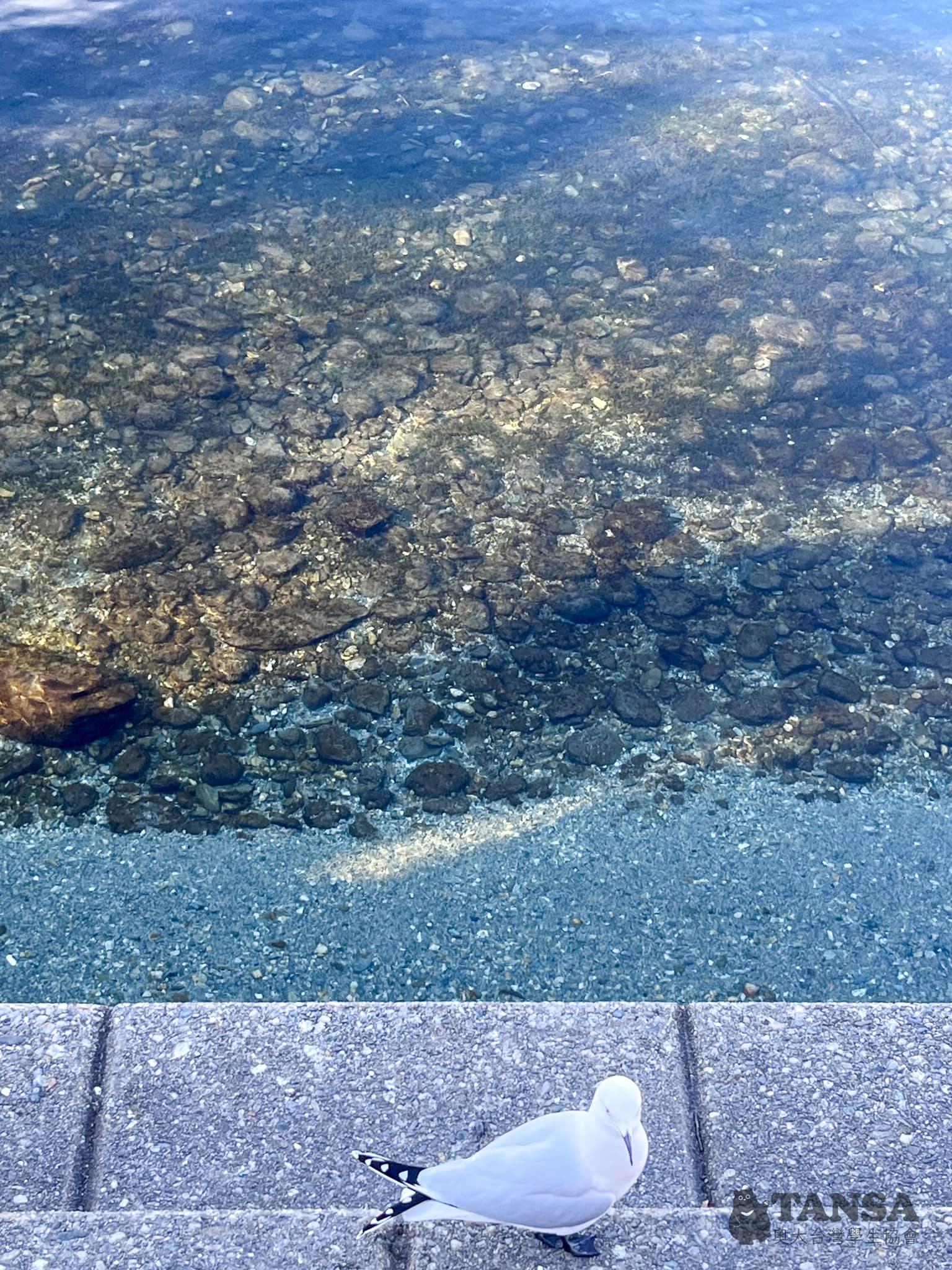 Ski Trip 2025 photo 61