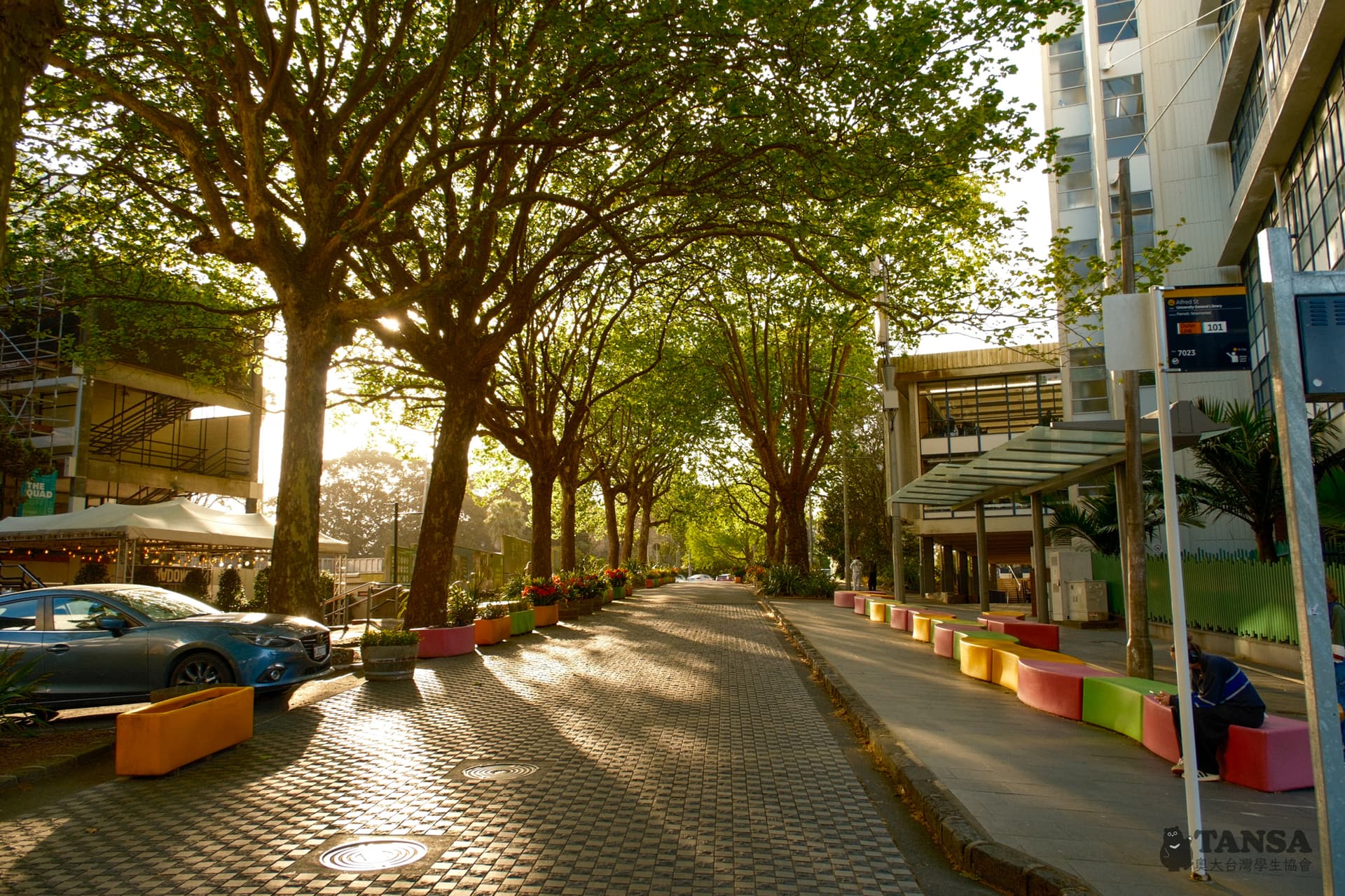 Bear Hunting 2025 photo 6